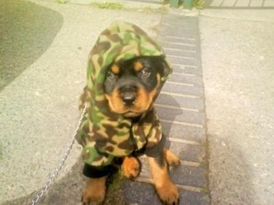looking cool in his hoodie 